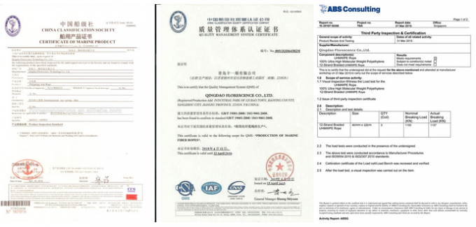 Высокопрочная 12 стренга Uhmwpe заплела веревочку зачаливания кудели шнура для верфи 11