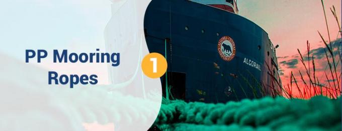 Оптовая торговля 220 М белый высокопрочный полипропилен ПП 8 нитей 68 мм 0