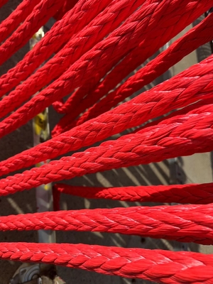 Высокая прочность UHMWPE веревки Шланг 12 нитей UHMWPE тягательная веревка